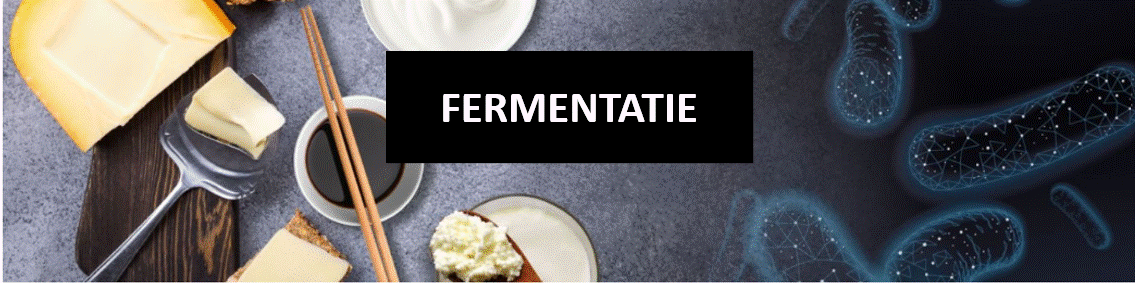 Fermentatie  Meat&Friends Eiwit seminar 2025